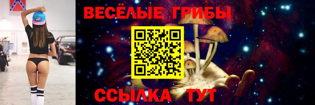 Псилоцибиновые грибы мицелий  Псилоцибиновые грибы Psilocybe  Шелехов  Вход с VPN 